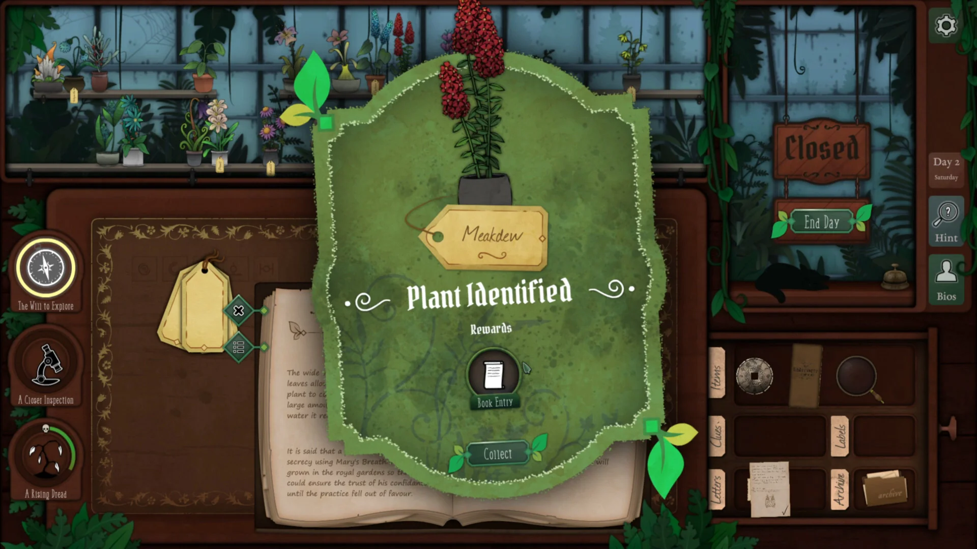 Strange Horticulture & Antiquities Pack | Nintendo Switch - Image 6